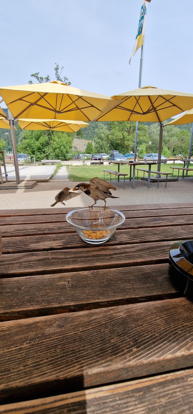 Bistro-Auberge Brasserie – Restaurant in Nidau