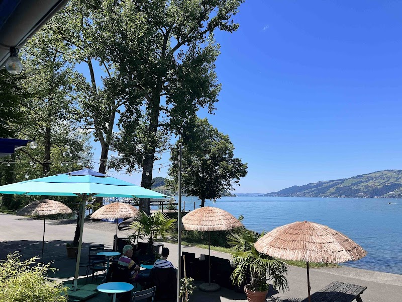 Blue Turtle GmbH – Bar Restaurant in Faulensee