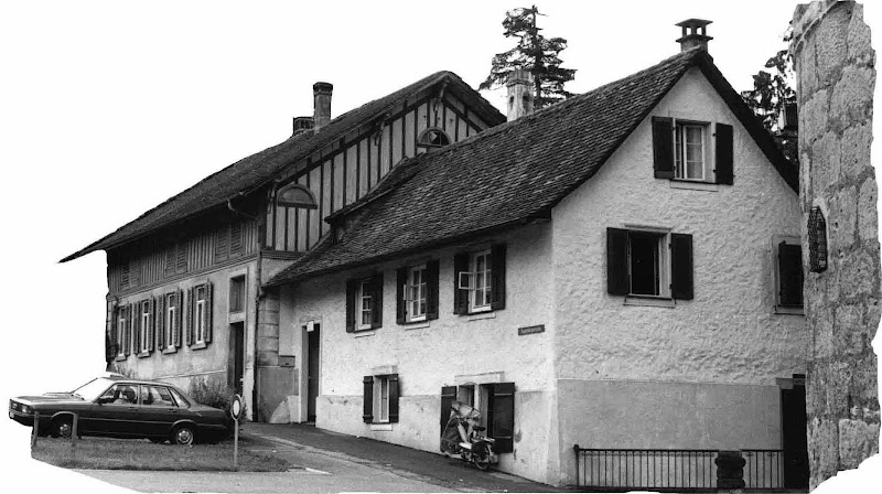Colonia Italiana Zug – Vereinigung / Organisation Restaurant in Zug