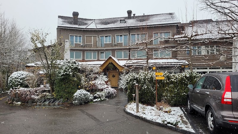 Frohsinn – Restaurant in Opfikon