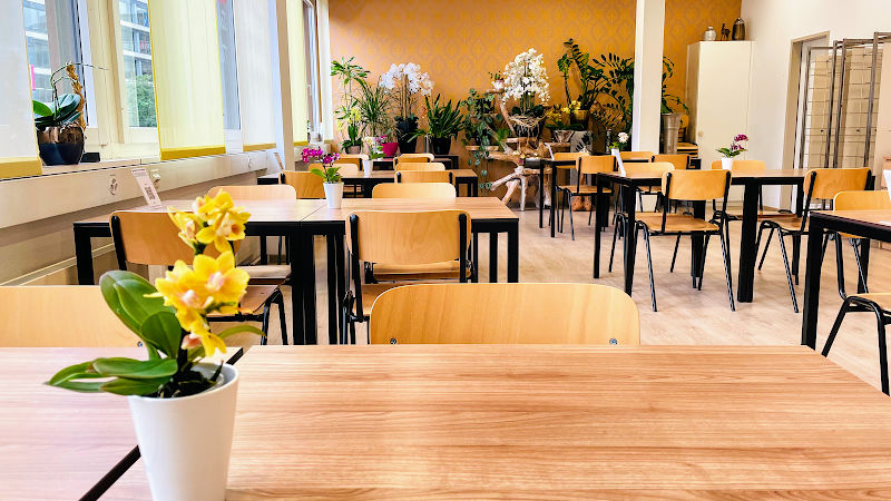 Gogis – Asiatisch Restaurant in Opfikon