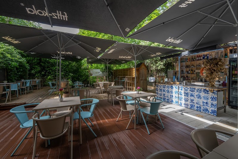 Spark Portuguese Food Concept